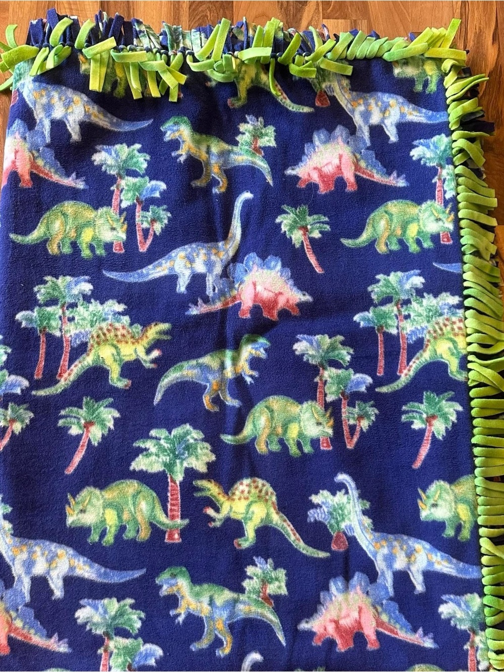 Kids Navy Blue Dinosaur Fleece Blanket - Green Back.